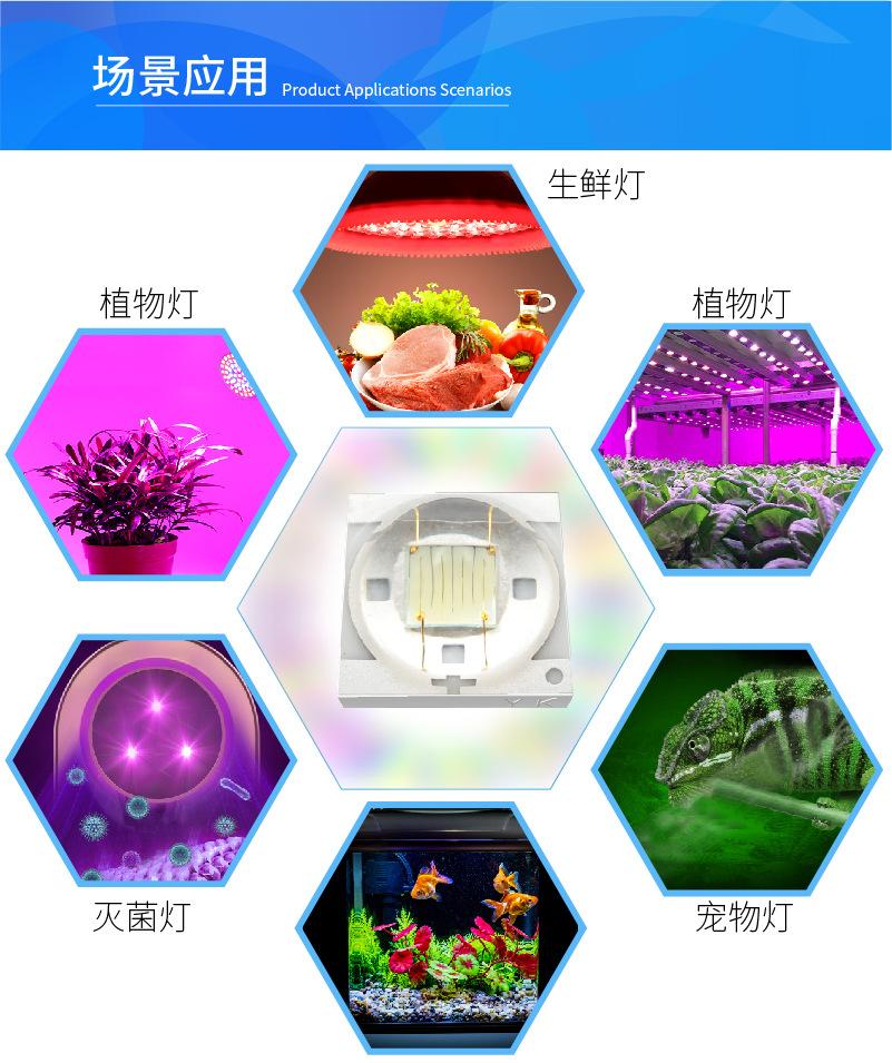 B详情3535陶瓷-04