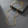 El collar cuadrado de perlas de acero inoxidable más vendido de Amazon, joyería de cadena de maíz galvanizada hip-hop personalizada, collar versátil al por mayor