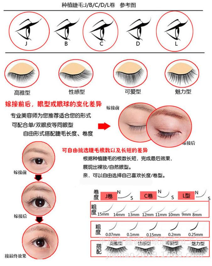 8742449410_605161180_副本