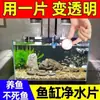 Agua Clara y Purificada, Pastillas Desodorantes y Desodorizantes para Purificación de Agua a Largo Plazo en Peceras, Acuarios y Estanques de Peces, Al Por Mayor