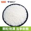 Arroz Perla 500g Empaque al Vacío Arroz Nuevo Venta al Mayoreo Colección de Granos y Granos Gruesos Combinación Venta Directa Fabricante de Origen