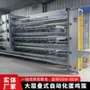 Jaula de cría de gallinas ponedoras de gran tamaño en niveles, jaula galvanizada para gallinas ponedoras, equipo mecánico automático de limpieza de estiércol en niveles, totalmente automático