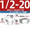 Colección de Tuercas de Acero Inoxidable 304 Estándar Americano y Británico Rosca Fina Unf Tuercas Hexagonales Tuercas de Rosca Fina Británicas 1/4-1/2
