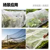 Malla antipájaros para agricultura, malla antipájaros para árboles frutales y jardines, malla de protección para hortalizas en invernadero, malla antipájaros de polietileno de alta densidad