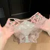 Calcinha de Renda Cruzada com Design Sutil~ Renda Sexy para Mulheres, Cintura Baixa, Puro Desejo, Alças Finas Vazadas, Estilo Fino de Verão, Tanga Feminina