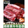 Costillas de Res, Carne de Res de Mongolia Interior, Recién Sacrificada y Procesada, Carne de Res Amarilla Corte Crudo Copo de Nieve, Pecho de Res Fresco Pieza Entera 5kg Mayoreo