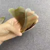 Tabla de Raspado de Cuerno para Cara, Extremidades, Cuchara de Raspado para Espalda, Tabla de Raspado para Piernas
