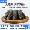 Dalian Pepino-do-Mar Seco Puro Atacado de Produtos Secos Pepino-do-Mar de Fundo Marinho Profundo Frutos do Mar a Granel Produtos Secos Aquáticos Caixa de Presente Comercial