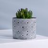 Precio de fábrica se puede personalizar logo maceta maceta planta carnosa gres simple creativo jardinería del hogar escritorio bonsái