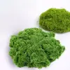 Musgo Artificial Decoración de Plantas Verdes Transfronteriza Paisajismo Césped de Musgo Artificial DIY Musgo Inmortal en Maceta Forma de Seda para Pavimentación