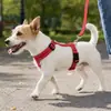 Nuevo arnés chaleco para mascotas, ajustable, duradero, con características reflectantes, adecuado para viajes al aire libre, paseos y pasear perros, artículos para mascotas