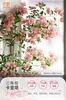 Plántulas de Buganvilia en Maceta con Flores, Plántulas Extra Grandes, Sakura Zhanghong, Interior Balcón, Floración Multitemporada, Enredadera de Alto Nivel