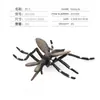 Simulación Transfronteriza Modelo de Araña Real Unicornio Insecto Juguetes para Niños Mariposa Abeja Adornos de Animales