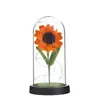 Adorno Popular Transfronterizo de Cúpula de Cristal de Girasol con Luz LED Flor Eterna Decoración Regalo Creativo Versátil Venta al por Mayor del Fabricante