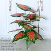Planta artificial planta verde Qin Ye Rong bonsái hogar jardín interior decoración verde para ventana artificial artificial hojas de árbol artificial