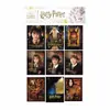 Harry Potter Licenciado Oficialmente Hermione e Ron Hogwarts Adesivos de Diário Estilo Retrô, Adesivos de Cena, Adesivos Infantis