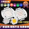 Lámpara integrada blanca de 10 W de alta potencia con fuente de luz LED blanca cálida, luz azul, luz roja, luz naranja, soporte de cobre brillante.