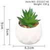 Suculenta Planta Taça de Diamante Bonsai Decoração Casa Escritório Es1178-4 Paisagem em Microfibra Aveludada Mini Alta Simulação