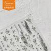 Tomoni adesivos finos e resistentes para unhas adesivos populares vintage para unhas atacado de fábrica amuleto de bambu estilo japonês 3505