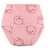 Calcinhas de Treinamento para Desfralde de Bebê em Algodão Puro, Respiráveis e Laváveis, Adequadas para Meninos e Meninas, Universais para Todas as Estações, com Estampa de Dinossauro, Calcinhas à Prova de Vazamentos