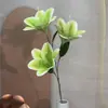 Decoração de Cena de Cachoeira Artificial com Flor de Magnólia e Lírio de 3 Cabeças, Flor Artificial de Lírio de Caule Único para Casamento Branco