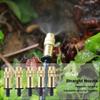 Sistema de riego por goteo con microaspersor de atomización de cobre ajustable, riego automático, riego de jardines, enfriamiento por aspersión.