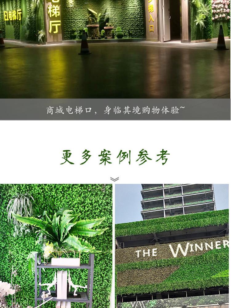 未标题-1-恢复的_12.jpg