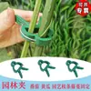 Clips para Jardinagem de Plantas Fixação de Flores Conjunto de Clipes para Jardim de Plantas/Clips para Jardinagem/Clips de Plástico para Plantas de Tomate