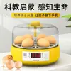Venta al por mayor desde el fabricante de origen: incubadoras pequeñas de uso doméstico adecuadas para huevos de ave