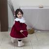 Ropa de invierno para niños, ropa de invierno para bebés, falda gruesa, ropa infantil coreana, vestido forrado de polar para bebés