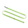 Fábrica de Origen Transfronterizo Amazon Suministros para Mascotas Correa de Nylon Collar Correa para Perro Artefacto Antiperdida Antifugas