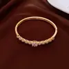 Pulseira Aberta Flor de Zircônia Estilo Luxo Leve, Pulseira Versátil Exquisita Francesa, Joias de Nicho de Alta Qualidade da Moda Atacado