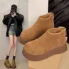 Botines Cálidos de Felpa de Nuevo Estilo Otoño e Invierno 2025 para Mujer, Botas Boken, Botas de Nieve, Botas Martin Gruesas de Moda para Mujer