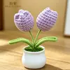 Planta de Tulipa em Vaso Crochê Feito à Mão Lã Flor Artificial Ornamento de Mesa Produto Acabado Decorativo Lembrança