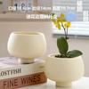 Vaso de Flores Cerâmico com Prato Doméstico Exquisito Estilo Ins Branco Luxo Leve Estilo Creme Simples Vaso para Flores Phalaenopsis Suculentas