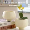 Maceta de Cerámica con Plato para Uso en el Hogar, Exquisita Estilo Ins Blanco Lujo Ligero Minimalista Estilo Crema Maceta para Orquídeas Suculentas