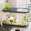 Tanque de Peces Transparente Grande de Alta Definición, Tanque para Peces Dorados, Tanque Ecológico de Escritorio para Observación de Peces, Adorno Decorativo, Acuario Grande para Tortugas para Cuidado de Tortugas