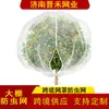 Malla para Cubrir Frutas y Verduras a Prueba de Insectos Bolsa de Malla Transfronteriza Frutas y Verduras Transmitente a la Luz y Transpirable Invernadero de Jardinería Especificaciones Completas Malla para Cubrir a Prueba de Insectos