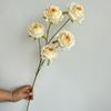 Rosa de ensueño de 5 cabezas ceremonia de boda salón de bodas fila de flores guía de camino arte floral flor falsa suave flor de mesa para hotel y hogar en stock