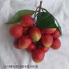 Espetos de Frutas de Simulação Espuma Longan Longan Lichia Mirtilo Cereja Adereços de Frutas Falsas Adereços de Fotografia