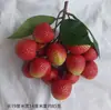 Modelo de Cadena de Lichi Simulada Feizi Xiaolongan Longan Fruta Falsa de Plástico Accesorios para Disparos Decoración de Habitación Materiales Didácticos