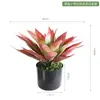 Suculenta Verde de Agave Simulada en Maceta Planta Verde Bonsái Decoraciones de Escritorio Adornos Tienda en Casa Ventana Paisajismo Plantas en Maceta
