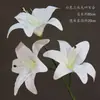 Materiales Florales Blancos para Bodas, Flores de Seda, Decoraciones de Techo para Salones de Bodas, Flores Artificiales, Flores para Arcos, Arreglos Florales, Arte Floral