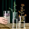 Jarrón Grande de Vidrio Recto al por Mayor Tortuga Bambú Dragón Flores de Sauce Contenedor para Plantas Hidropónicas Adornos para Acuario Estilo Ins