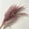 Atacado de Grama Eterna do Fabricante para Casamento e Decoração de Casa DIY Materiais Florais, Grama de Cabelo Longo para Flores de Arte Penduradas