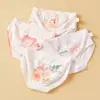 Roupa Íntima Infantil Meninas Shorts Triângulo Algodão Puro Classe A Infantil Médio e Grande Algodão Penteado Infantil Verão Fino PP