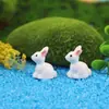 Selección estricta de adornos para micro paisajismo de musgo tamaño orejas pequeño conejo blanco conejo conejito resina manualidades adornos accesorios
