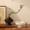 Maceta de cerámica tipo bola de musgo estilo Zen japonés, adorno de mesa para interiores, bambú, espárrago, cálamo, recipiente decorativo hidropónico