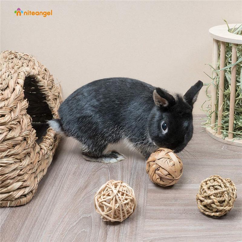 81Pdhf9NrML._AC_SL1300_