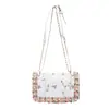 Bolsa de Mão Pequena Tendência Transfronteiriça Mais Recente Verão 2025 Estilo Coreano Bolsa Transversal Bolsa de Ombro com Corrente Bolsa Feminina Fashion
